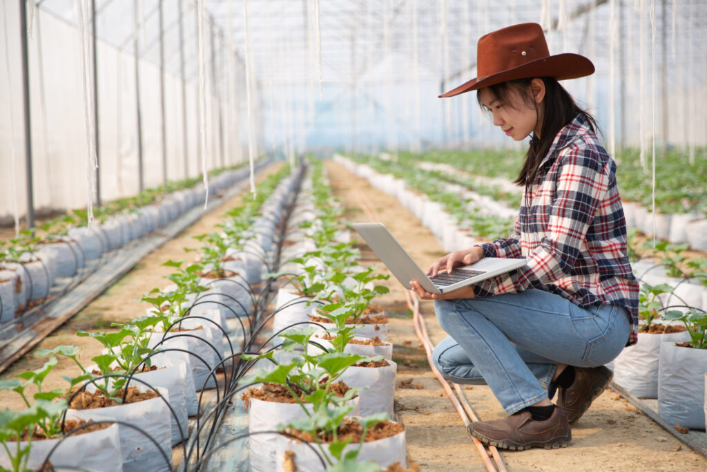 IT Services for Agriculture